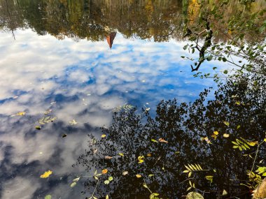 Güzel bulutların ve kale kulelerinin sularındaki yansıma. Kıyıdaki bitkiler. Sonbahar.