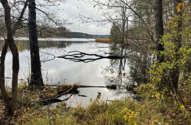 Güzel bir akşam manzarası. Bulutlar. Sudaki ağaçların ve bulutların yansıması..