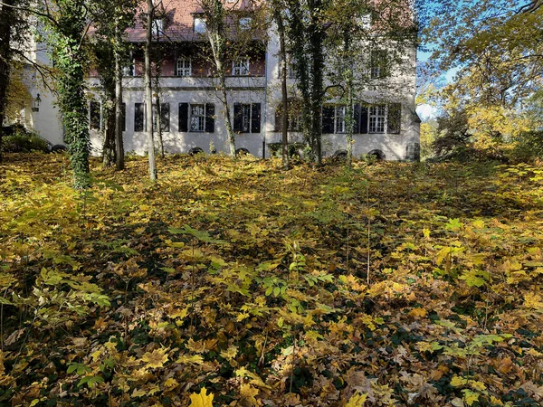 Old castle in the autumn park. Yellow autumn leaves on the ground.