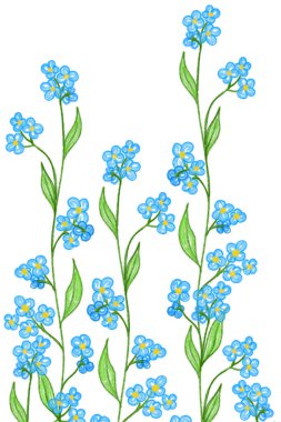 Beyaz arka planda izole edilmiş zarif mavi çiçekler. Kalem çizim efekti.