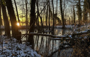 Akşam güneşinin ışığında donmuş bir göl. Gün batımı. Güneşli ağaçlar.