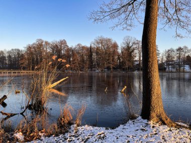 Akşam güneşinin ışığında donmuş bir göl. Gün batımı. Güneşli ağaçlar.
