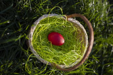 Kırmızı Paskalya yumurtası çimlerin üzerinde bir sepette.