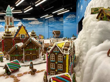 Wroclaw, Polonya - 19 Şubat 2024: Kış tatili, sergi 