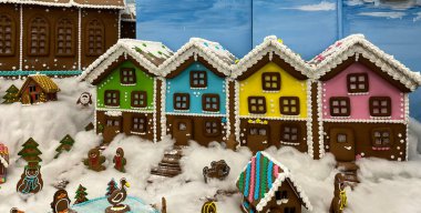 Wroclaw, Polonya - 19 Şubat 2024: Kış tatili, sergi 