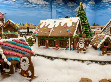 Wroclaw, Polonya - 19 Şubat 2024: Kış tatili, sergi 