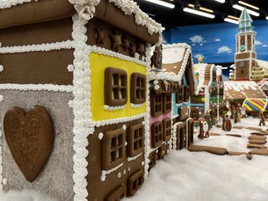 Wroclaw, Polonya - 19 Şubat 2024: Kış tatili, sergi 