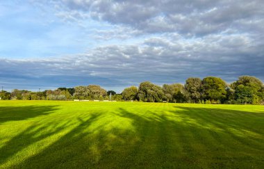 Akşam güneşinde parkın bir parçası. Bulutlar, çimenler, çimenlerdeki gölgeler.