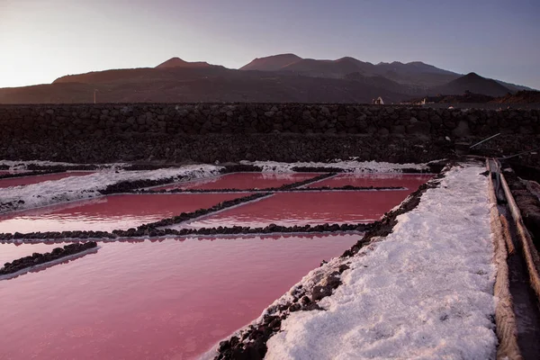 Detail of the red salt ponds at sunset. Horizontal view. Color red.
