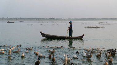 Mandalay, Myanmar - 3 / 8 / 2020: U Bein Köprüsü yakınlarındaki ahşap balıkçı teknesindeki adam gün batımında vahşi ördeklerle çevrili bir gölde yüzüyor