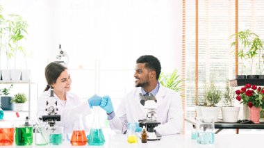 Afrika ve Ortadoğu bilim adamlarının portreleri bir araştırma laboratuvarında iyi bir işbirliğiyle gülümsüyor. Kenevir bitkisi ve marihuana araştırmalarında çalışan bir grup kimya öğrencisi.