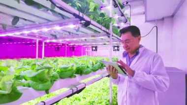 Bir bilim adamı modern bir kapalı alan çiftliğindeki hidrofonik bitkileri canlı ve aydınlık bir ortamda optimal büyümeyi sağlamak için tabletleri kullanarak izliyor. Gıda güvenliği konsepti bilimi. Gerçek zamanlı 4k video.