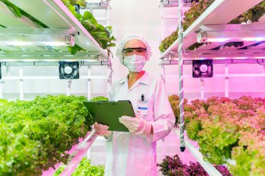 Koruyucu giysili bir insan dikey bir çiftlikte dikey duruyor. Etrafı pembe LED lambalarla aydınlatılmış yemyeşil sıralarla çevrili. Elinde bir pano var..