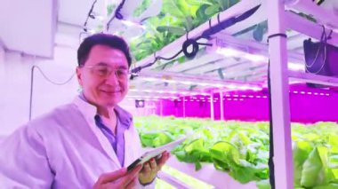 Bir bilim adamı modern bir kapalı alan çiftliğindeki hidrofonik bitkileri canlı ve aydınlık bir ortamda optimal büyümeyi sağlamak için tabletleri kullanarak izliyor. Gıda güvenliği konsepti bilimi. Gerçek zamanlı 4k video.