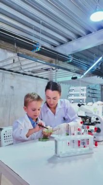 Beyaz bir çocuk ve bir anne, laboratuvar ortamında renkli sıvıları karıştırarak, merak ve öğrenmeyi teşvik ederek bir bilim deneyi yürütüyorlar. Gerçek zamanlı dikey 4k video.