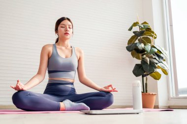 Huzurlu bir Asyalı kadın, yoga yapıyor. Sakin bir iç mekanda, rahatlama ve farkındalığı somutlaştırıyor. Laptop ve bitkiyle birlikte bir mindere oturmuş, farkındalık ve rahatlamaya odaklanmış. Kapalı alan egzersizi.