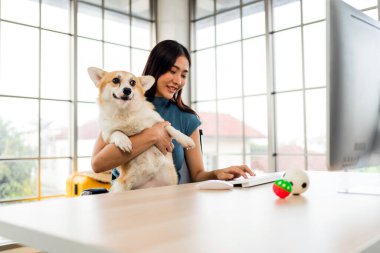 Corgi köpeğini tutarken masasında çalışan genç bir kadın evcil hayvan dostu bir çalışma alanı sergiliyor. Parlak ofis dekorasyonu modern uzaktan çalışma, üretkenlik ve arkadaşlığı yansıtıyor.
