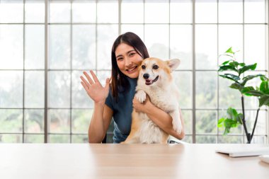 Neşeli genç bir kadın Corgi köpeğini parlak, modern bir ofiste tutarken el sallıyor. Hayvan dostu çalışma alanı mutluluğu, uzaktan çalışma dengesini, profesyonellere arkadaşlık etmeyi teşvik eder. Çevrimiçi Toplantı