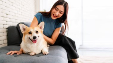 Genç bir kadın arka planda gülümserken mutlu bir Corgi köpeği kanepede oturur. Görüntü, evcil hayvan arkadaşlığı, ev rahatlığı ve evcil hayvanlarla sahipleri arasındaki güçlü bağı yakalıyor..
