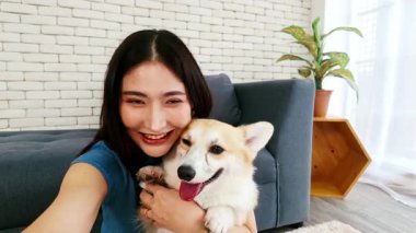 Bir kadın mutlu Corgi 'siyle mutlu bir selfie çeker, her ikisi de rahat bir evde gülümserler. Günlük hayatta evcil hayvan arkadaşlığı, aşk ve mutluluk dolu bir an. Gerçek zamanlı 4k video.