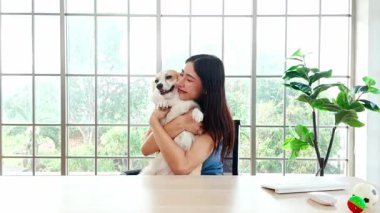 Geniş pencereli, parlak bir ofis masasında otururken bir kadın korgisine sarılıyor. Yürek ısıtan bir evcil hayvan arkadaşlığı, iş hayatı dengesi ve rahat bir çalışma alanı. Yavaş çekim 4k video