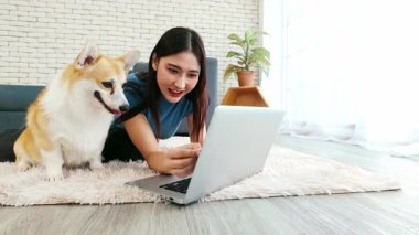 Asyalı bir kadın evde Corgisiyle eğlenirken dizüstü bilgisayarıyla çalışıyor. Uzaktan çalışmanın mükemmel bir karışımı, evcil hayvan arkadaşlığı, ve parlak, modern bir mekanda rahat bir yaşam tarzı. Gerçek zamanlı 4k video.