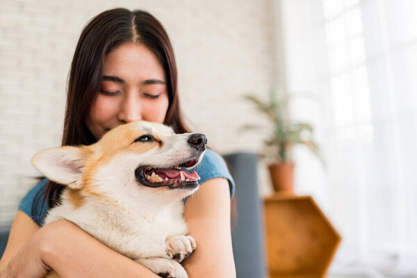 A young Asian woman embraces her happy Corgi dog indoors, expressing love, warmth, and companionship. The dog's joyful expression highlights the deep emotional bond between pets and owners.