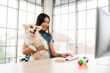 Kucağında sevimli Corgi köpeği ile evden çalışan genç bir kadın bilgisayar kullanırken arkadaşlığın tadını çıkarıyor. Doğal ışık ve oyuncaklarla dolu parlak ofis alanı.