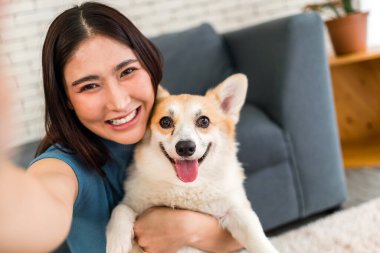 Gülümseyen kadın evde çalışırken mutlu Corgi köpeğiyle selfie çekiyor. Keyifli bir evcil hayvan bağı ve rahat bir oturma odasında pozitif iş hayatı dengesi. Uzaktan çalışma sırasında aşk ve arkadaşlık.