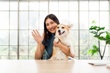 Gülümseyen genç kadın, Corgi köpeğini parlak bir ofis ortamında tutarken kameraya el sallıyor. Neşeli sahnede uzaktan çalışma, evcil hayvan arkadaşlığı ve neşeli çevrimiçi bağlantı vurgulanıyor.