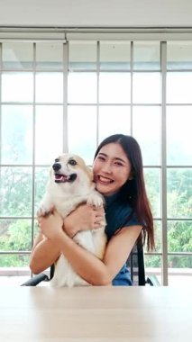 Mutlu kadın, evde çalışırken Corgi köpeğine sarılıyor. Parlak bir odada, pencereleri geniş bir masada oturuyor. Neşeli evcil hayvan arkadaşlığı ve uzak çalışma yaşam tarzını yakalar..