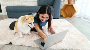 Evde Corgi köpeğinin yanında bir halıya uzanmış dizüstü bilgisayarda çalışan genç bir kadın. Samimi, evcil hayvan dostu uzaktan kumanda. Mutluluk, verimlilik ve evcil hayvanlarla çalışmanın rahatlığı..