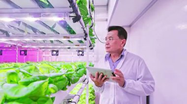 Beyaz laboratuvar önlüklü bilim adamları, dijital tablet kullanarak yüksek teknolojili bir çiftlikte hidroponik marul inceliyor, tarımda yenilik sergiliyor, sürdürülebilir gıda üretimi ve tarım teknolojisi.