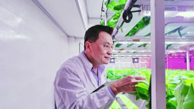 Bilim adamı, dikey kapalı bir çiftlikteki hidrofonik marul bitkilerini inceliyor, gelişmiş tarım teknolojileri, temiz enerji çözümleri ve gelecekteki tarım için sürdürülebilir gıda üretimi sergiliyor..