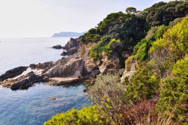 Fransız Akdeniz 'den Rocky Cliffs ve Turkuaz Waters. Yüksek uçurumlar, yeşil tepeler