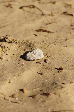 Beyaz taş, arka planı bulanık kahverengi kuma odaklı. Ana nesne odak noktasında, arkaplan bulanık