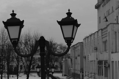 Bulutlu bir kış gününde arka planı bulanık olan eski bir sokak lambasının yatay siyah beyaz fotoğrafı..