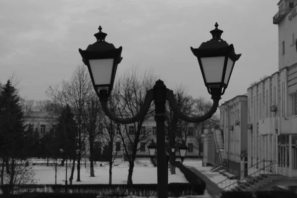曇りの冬の日の明るい背景を持つ街路灯の横の黒と白の写真 — ストック写真