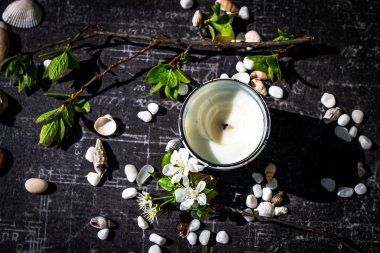 Beyaz mum bej bir masada yeşil yapraklı desenli bir tutacakta. Etrafında çeşitli deniz taşları ve farklı şekillerde ve toprak renklerinde kabuklar vardır..