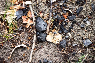 Yerde kömür, kurumuş sarı yaprakların yanında..