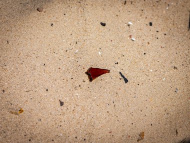 Güneşli bir günde kumlu bir plaja karşı kırık camlar ve deniz kabuklarıyla dağılmış bir sahil şeridinin dikey fotoğrafı. Ana konuya seçici odaklanma.