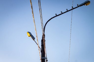 Renkli yatay fotoğraf, elektrik kablolarıyla sokak lambası aydınlatma güneşli bulutsuz bir günde tepeden tırnağa fotoğraf..