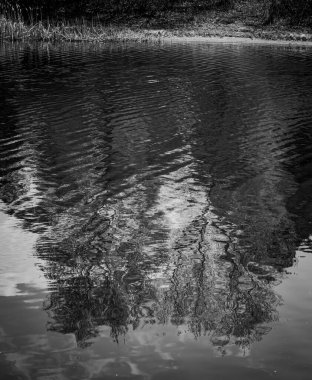 Sakin bir orman deresi yavaşça akar, yüzeyi suyun hareketiyle dalgalanır. Kayalık taban kısmen berrak suda görülebilir. Yemyeşil bitki örtüsü.