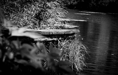 Ahşap platform, kısmen yemyeşil yeşillikler ve uzun otlarla gizlenmiş sakin bir nehrin üzerine uzanır.. 