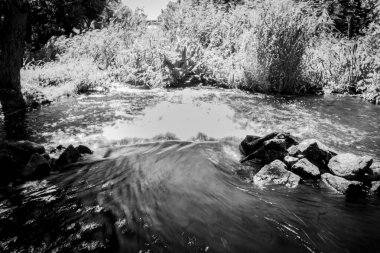 Sakin bir orman deresi yavaşça akar, yüzeyi suyun hareketiyle dalgalanır. Kayalık taban kısmen berrak suda görülebilir. Yemyeşil bitki örtüsü.