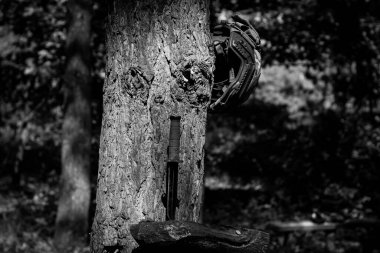 Askeri balistik miğfer ormanda bir ağaçta taktik bıçağın üzerinde. Askeri teçhizat, taktik ekipman. Askerlik. Ukrayna 'daki savaş