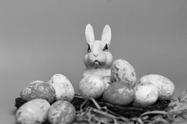 Bir tavşan heykeli örülmüş bir yuvada benekli yumurta grubunun arkasında oturur. Yumurtaların farklı tonları var, ve düzenleme saman benzeri bir yatak üzerine kurulu, kırsal bir dokunuş ekleyerek. 