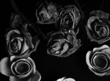 Solmuş kurumuş güller pürüzsüz, el yapımı sabun güllerinin üzerine yerleştirilir ve bu da katı bir kontrast yaratır. Kurumuş çiçeklerin koyu, sessiz tonları vardır. Sabun gülleri ise pürüzsüz ve mükemmel şekillidir..