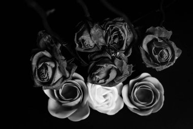 Solmuş kurumuş güller pürüzsüz, el yapımı sabun güllerinin üzerine yerleştirilir ve bu da katı bir kontrast yaratır. Kurumuş çiçeklerin koyu, sessiz tonları vardır. Sabun gülleri ise pürüzsüz ve mükemmel şekillidir..