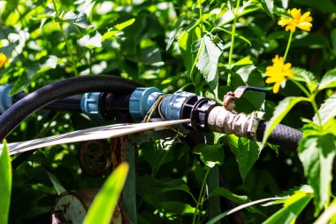 Bir bahçe hortumu bağlantısı çeşitli plastik ve metal tesisatlarla görülebilir. Mavi saplı kapama vanasında aşınma ve pas izleri var. Bağlantılar lastik conta ile korunuyor..